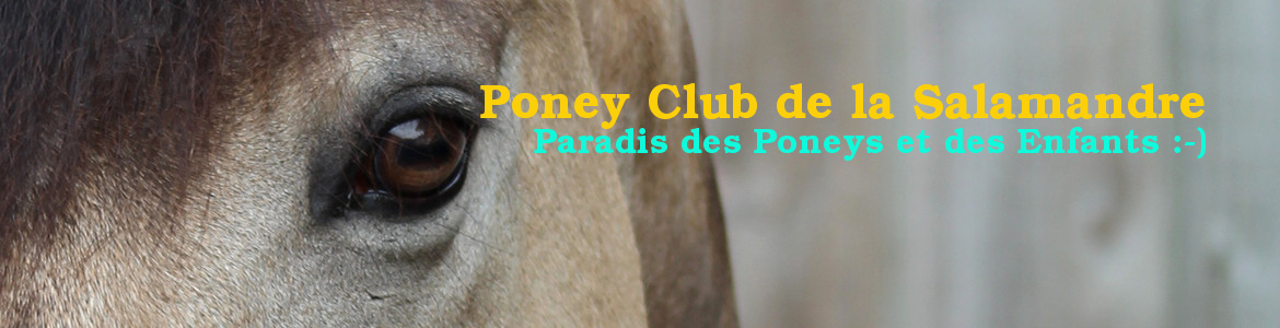 PONEY CLUB DE LA SALAMANDRE - Puylaurens