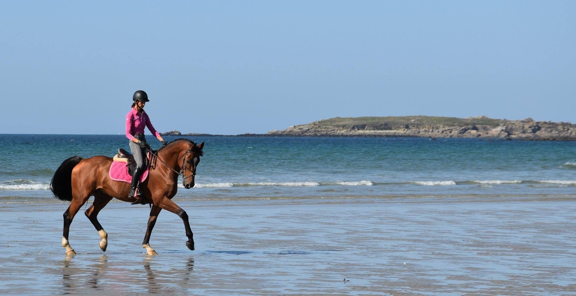 OSEC EQUITATION - Moustoir-Ac