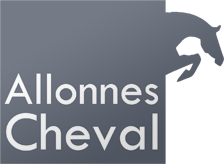 ALLONNES CHEVAL - Allonnes