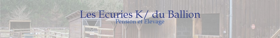 L'ECURIE D'AUSSON (EDA) - Belin-Beliet