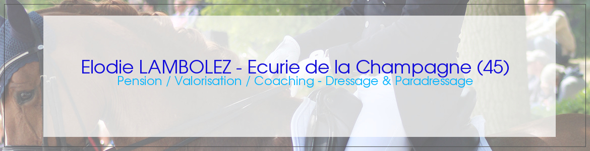 ASSOCIATION PONEY CLUB DE LA CHAMPAGNE - Trainou