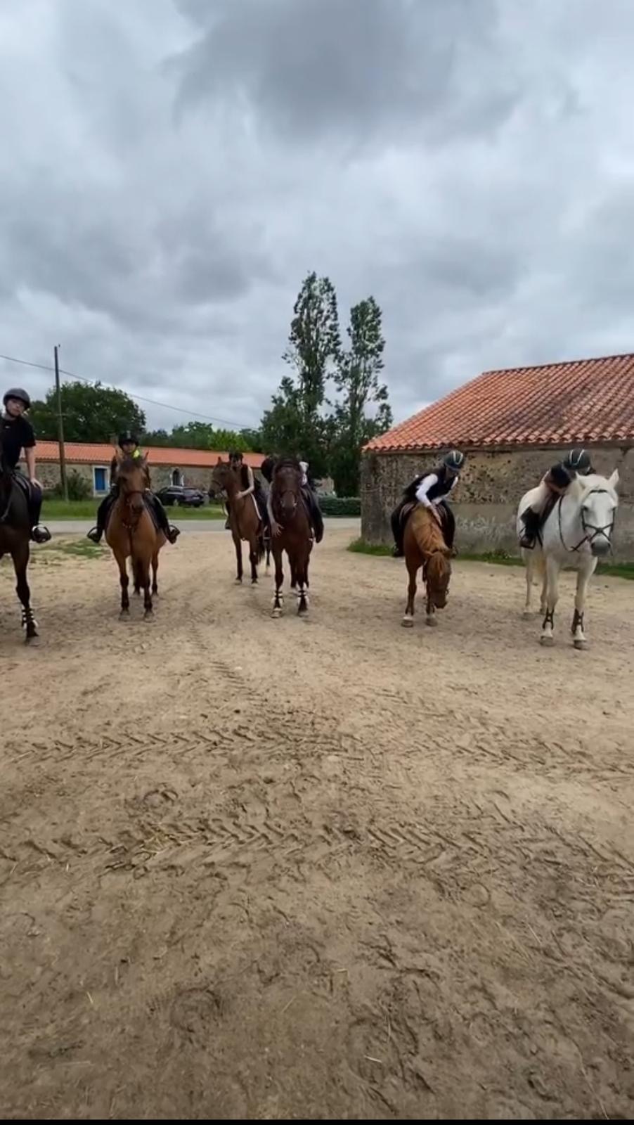 MARIE-MARTINE SOULIE (GUILBAUD) - Talmont-Saint-Hilaire