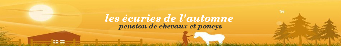 LES ECURIES DE L'AUTOMNE - Vaumoise