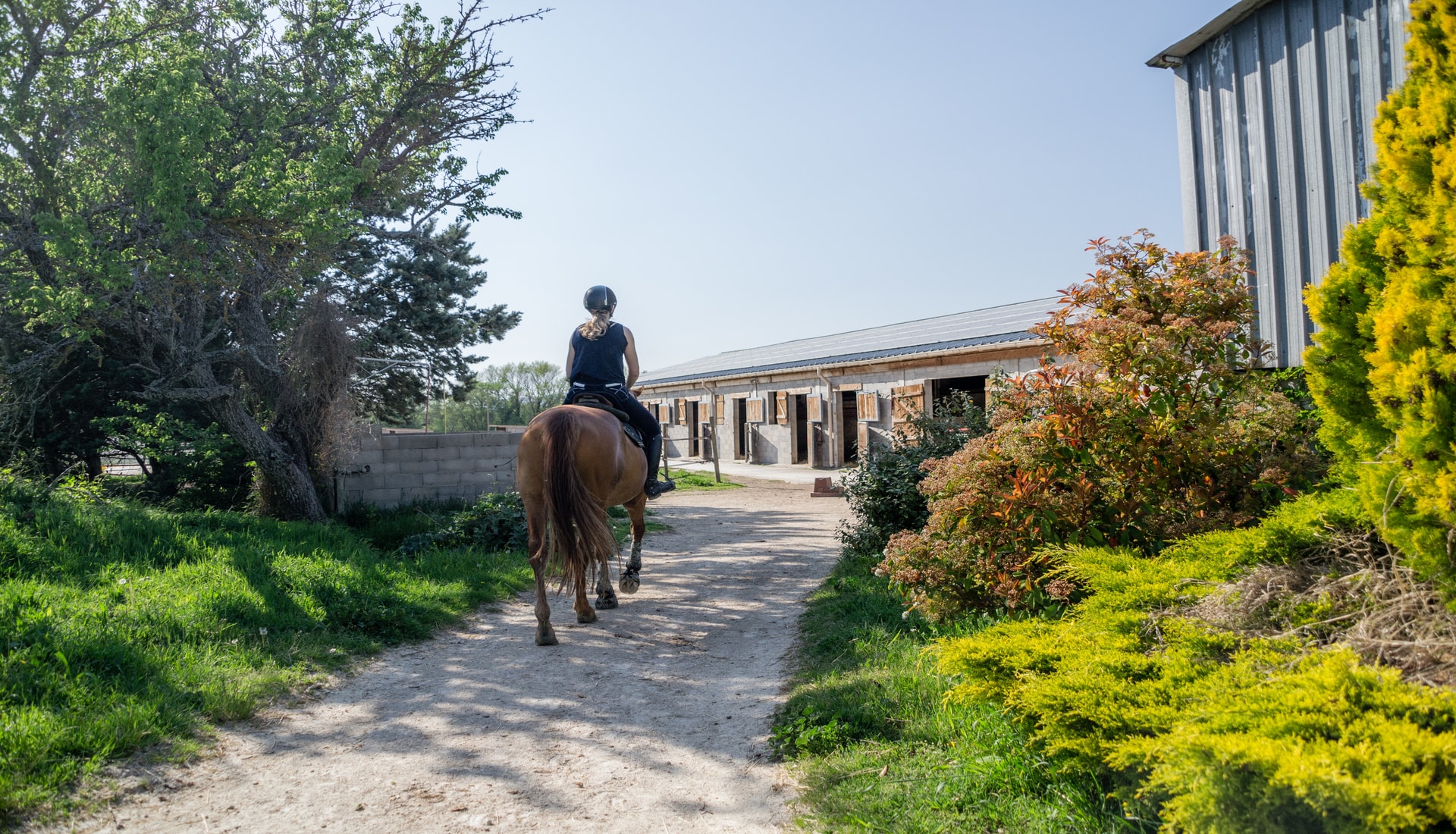 PROMOTION DU CHEVAL DE SPORT ET DE L ELEVAGE DE CHEVAUX - Trets