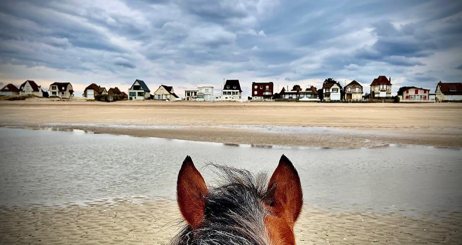 HARAS DE LA LONDE - Blonville-Sur-Mer