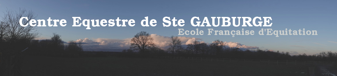 HARAS DE SAINTE GAUBURGE - Ste Gauburge Ste Colombe