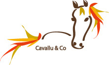 NATURE ATTELAGE TOURISME EQUITATION - Ventiseri