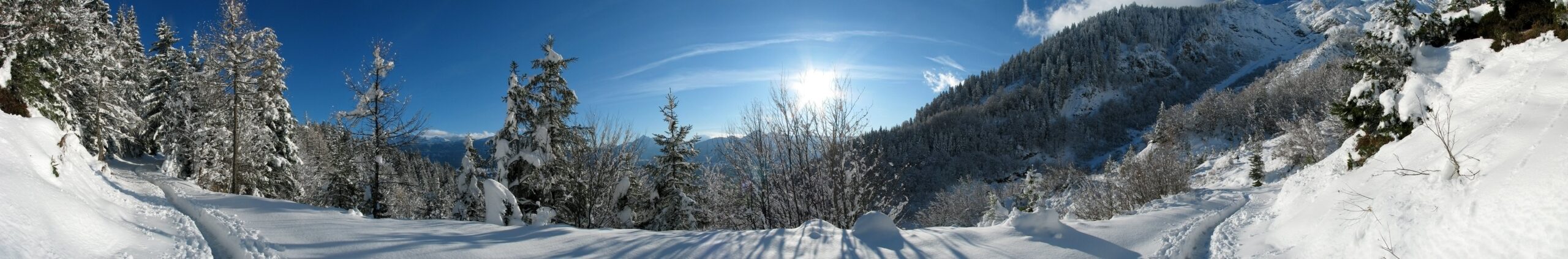 ECURIE DU BICHON - Carsac-Aillac