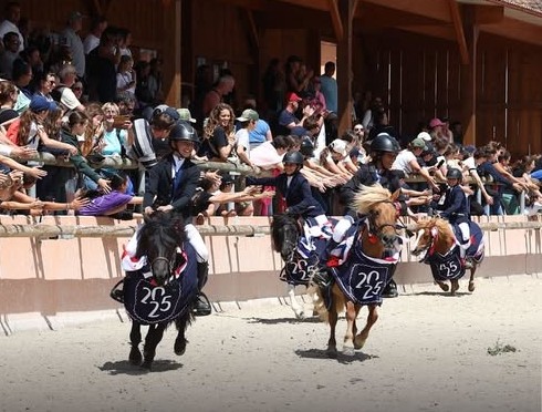 EARL PONEY CLUB D INCARVILLE - Saint-Aubin-Celloville