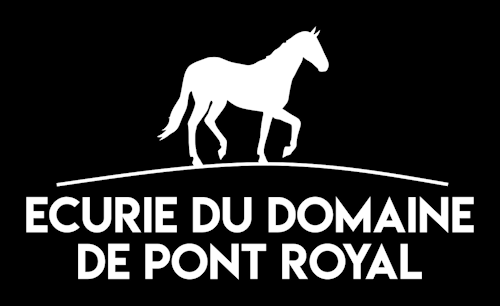 CENTRE D'EQUITATION DE MALLEMORT EN PROVENCE (CEM) - Mallemort