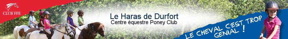 LE HARAS DE DURFORT - Durfort-Et-Saint-Martin-De-Sossenac