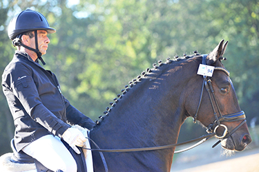 HARAS PRIEURE (HDP) - La Vespiere-Friardel