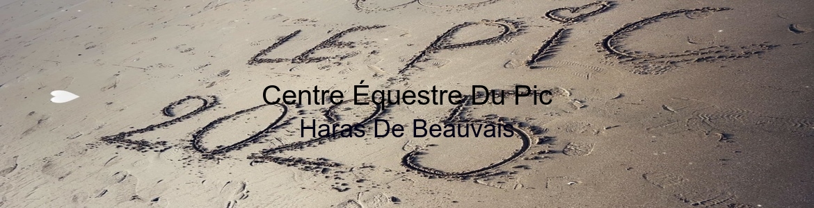 ASSOCIATION CENTRE EQUESTRE DU PIC (ACEPP) - Greez-Sur-Roc