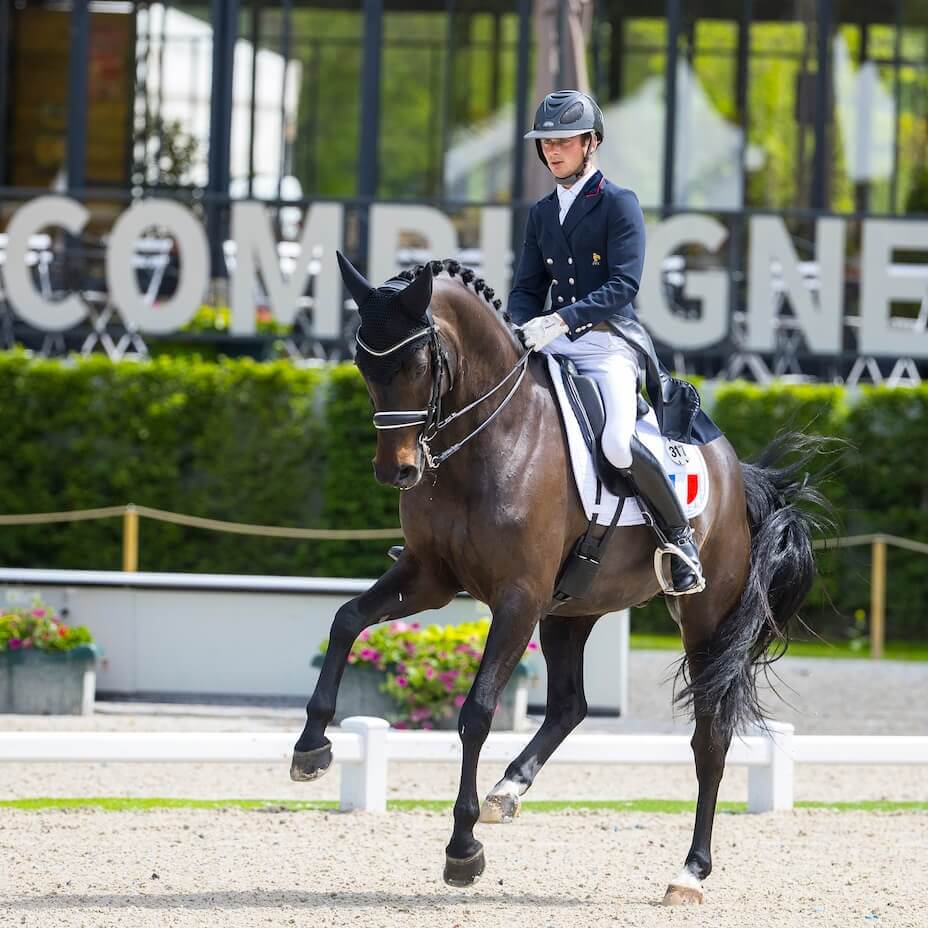 PAMFOU DRESSAGE - Pamfou