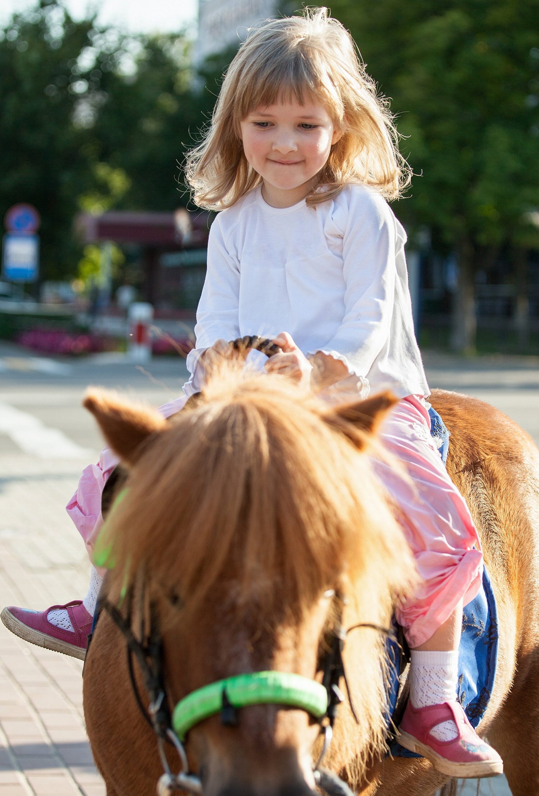 MESSANDRIE EQUITATION (CENTRE EQUESTRE ET PONEY CLUB DE PORNIC) - Pornic