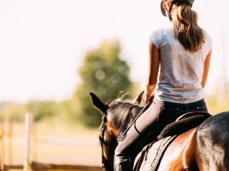 LE HARAS DU DIAMANTNOIR - Champeaux