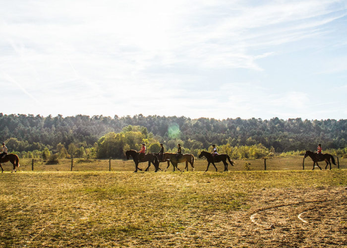 ARBONNE EQUITATION - Arbonne-La-Foret
