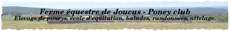 FLORENCE FARCOT (DURY) - Joucas