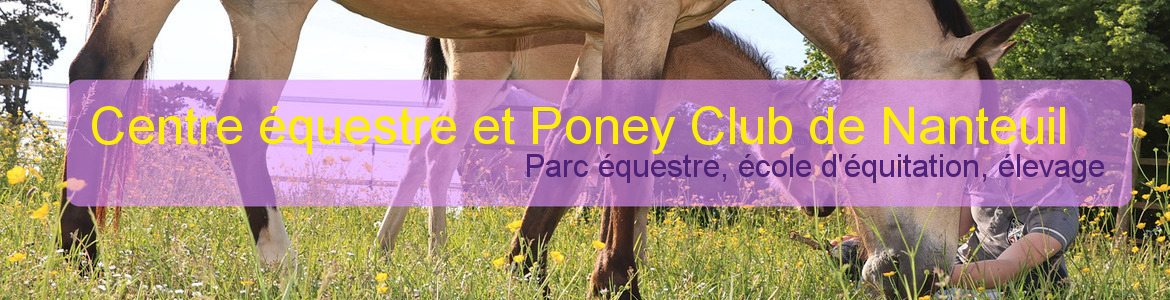 CLUB DES AMIS DES PONEYS - Nanteuil-Le-Haudouin
