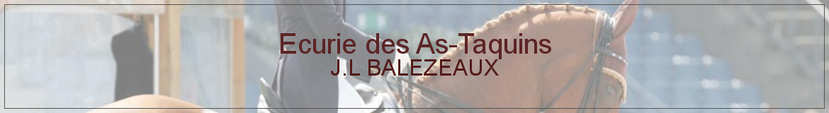 EURL GOLF DE L HIPPODROME - Alencon