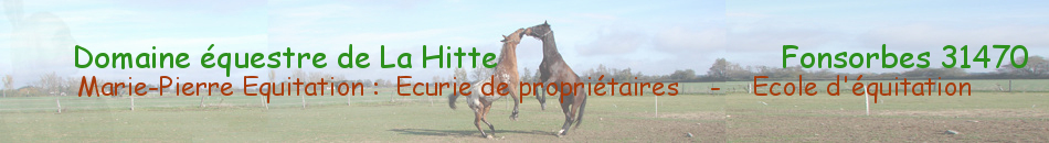 AVENIR FONSORBAIS EQUITATION - Fonsorbes