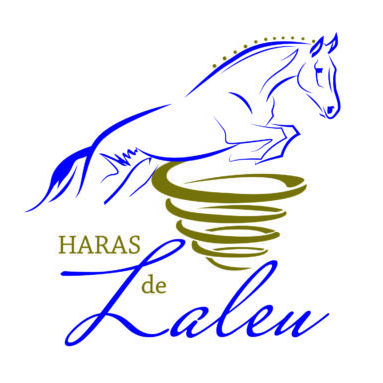 HARAS DE LALEU - Valloire-Sur-Cisse