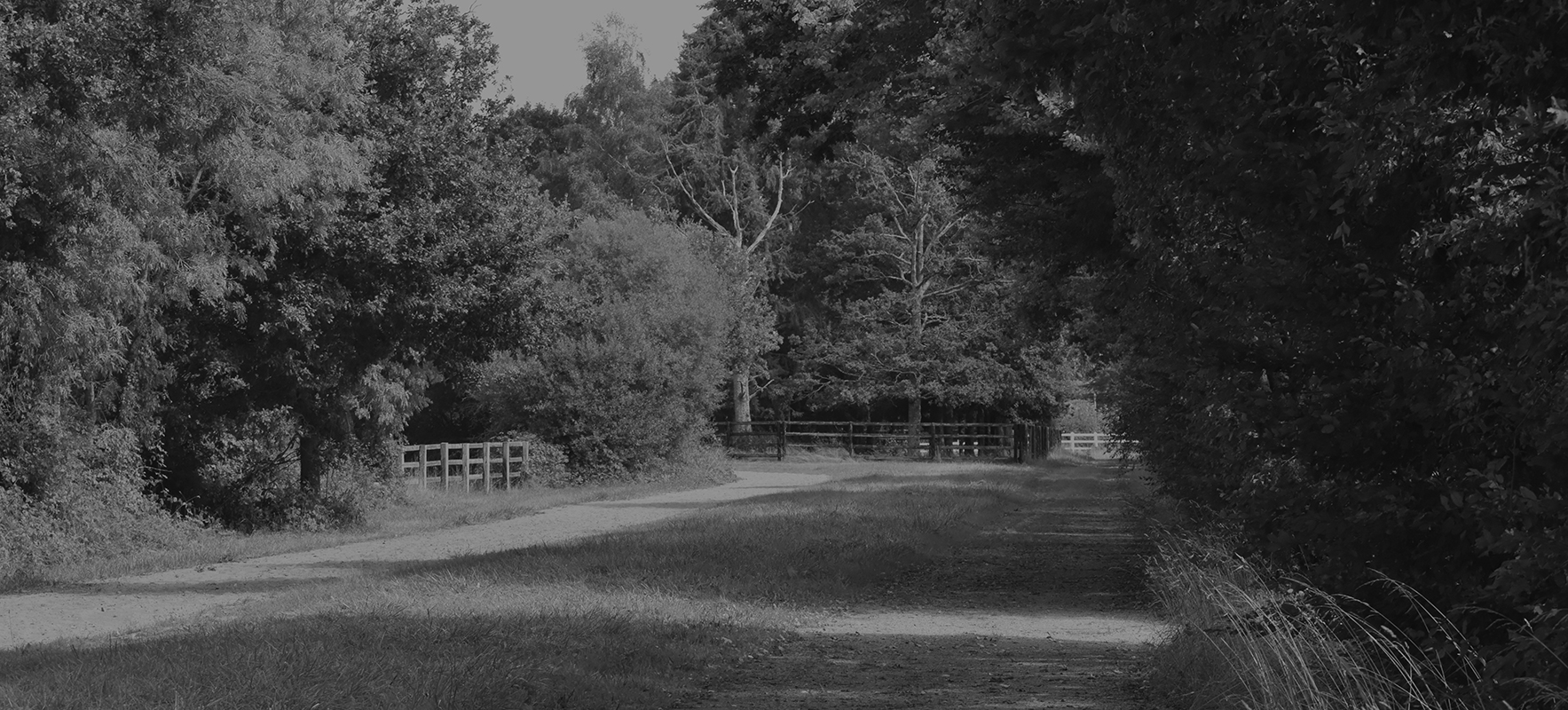 HARAS DE LA MERCERIE - Putanges-Le-Lac