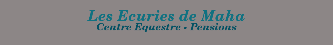 LES ECURIES DE MAHA - Murviel-Les-Montpellier