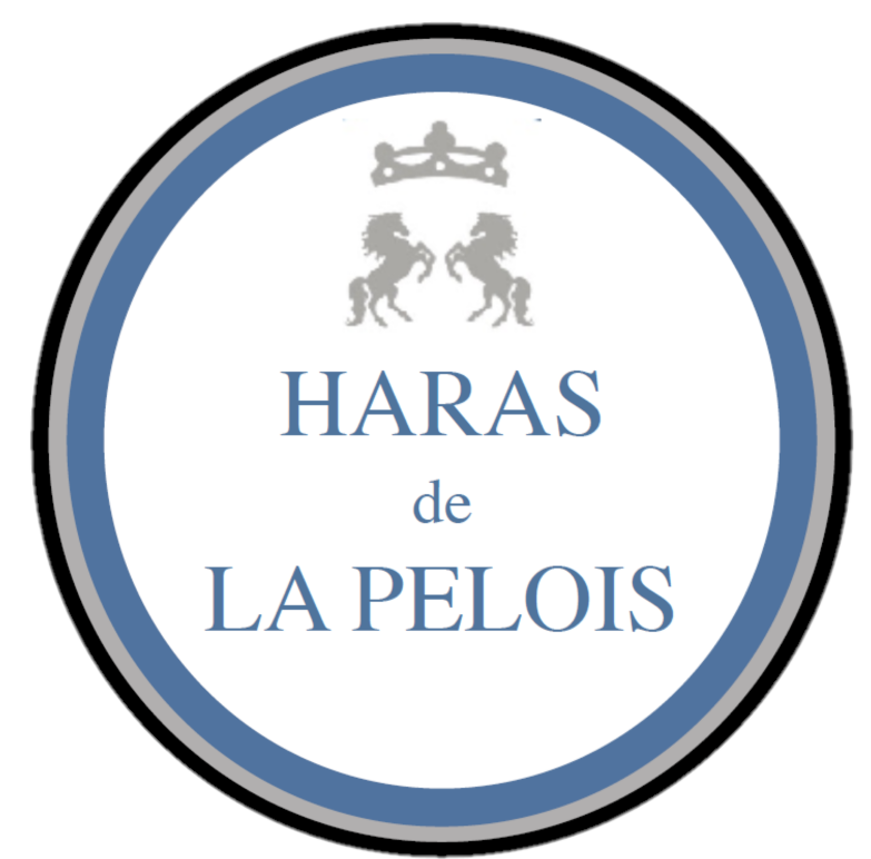 HARAS DE LA PELOIS (HARAS DE LA PELOIS) - Saint Martin Des Monts