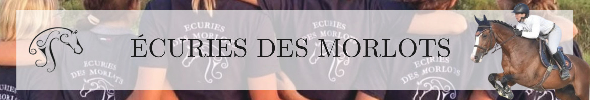 DES ECURIES - Besancon