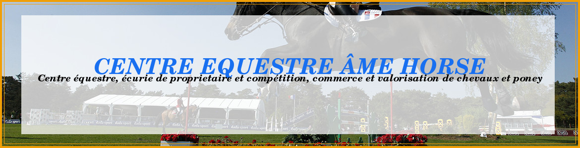 AME HORSE EQUITATION (CENTRE EQUESTRE AME HORSE) (A. H.) - Bretigny-Sur-Orge