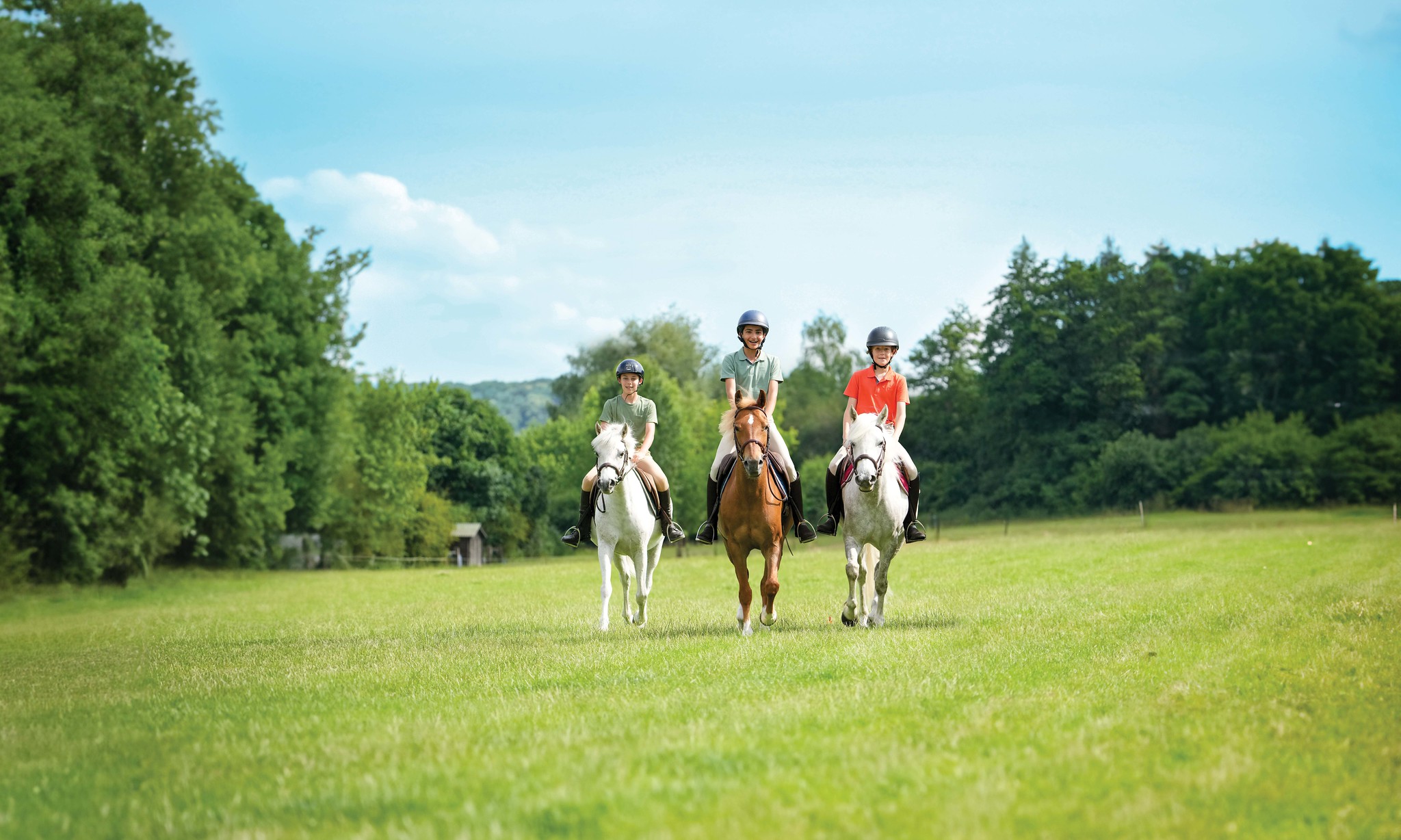 COMITE REGIONAL D'EQUITATION DE NOUVELLE AQUITAINE - CRE DE NOUVELLE AQUITAINE - Talence