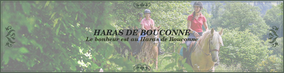 HARAS DE BOUCONNE (HARAS DE BOUCONNE) - Pibrac