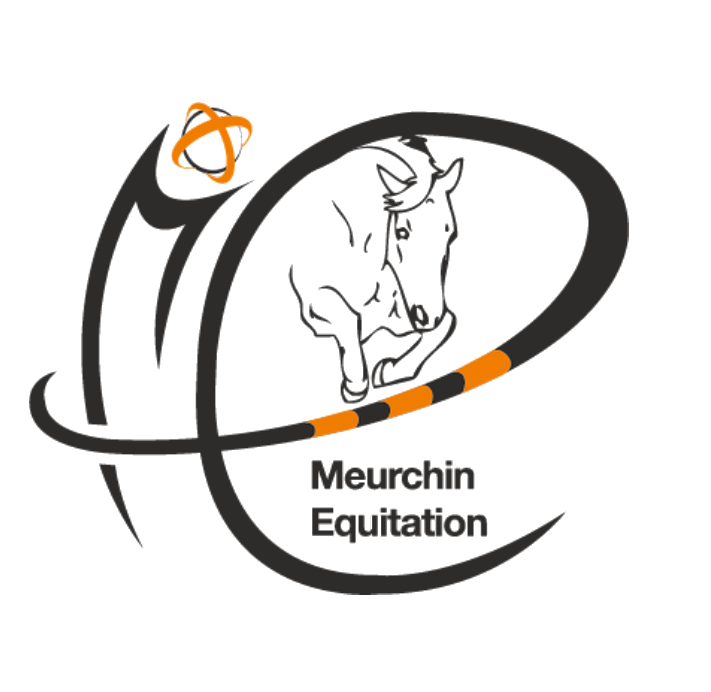 MEURCHIN EQUITATION HORSE-BALL - Meurchin