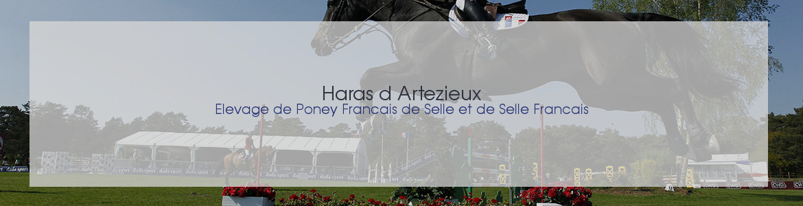 HARAS D'ARTEZIEUX EARL (HARAS D'ARTEZIEUX) - Montrevel