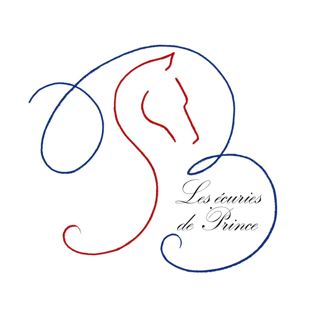LES ECURIES DE PRINCE - Fontaine-Le-Bourg