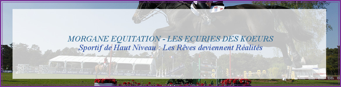 MORGANE EQUITATION - Villey-Le-Sec