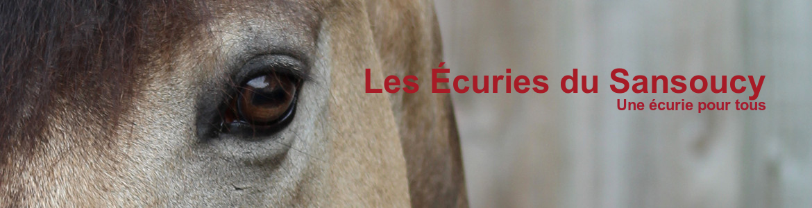 LES ECURIES DU SANSOUCY - Cercoux