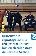 SCI ECURIE - Allineuc