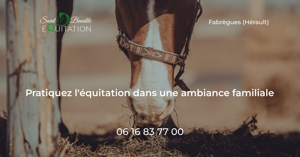 SAINT BAUDILE EQUITATION - Fabregues