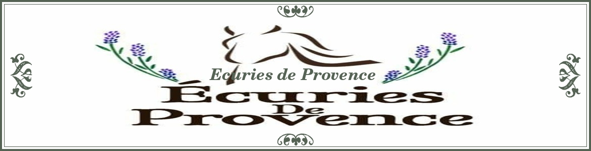 PERFORM'ASSUR (PERFORM'ASSUR) - Aix-En-Provence