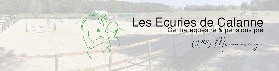 LES ECURIES DE CALANNE - Mionnay