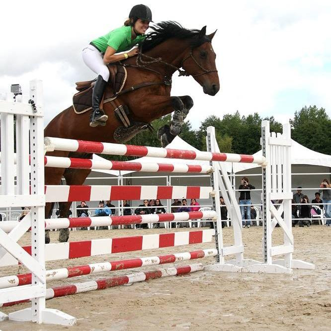 HARAS DE VEZU - Boissy-Aux-Cailles