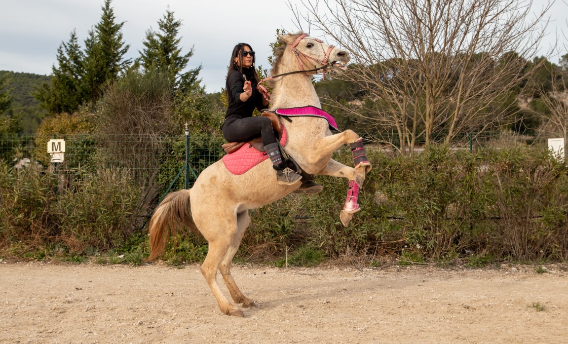 ANTONELLA MOYA (AM EQUITATION) - Carnoules