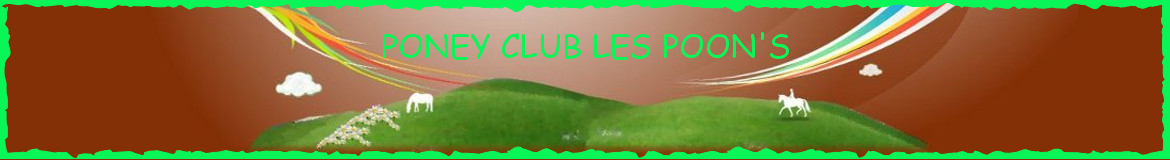 PONEY CLUB LES POON'S - Arles
