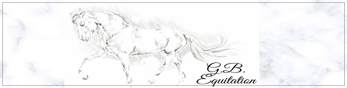 PLAISIR EQUITATION - Plaisir