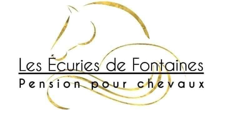 SCM EQUITATION - Fontaines-En-Sologne