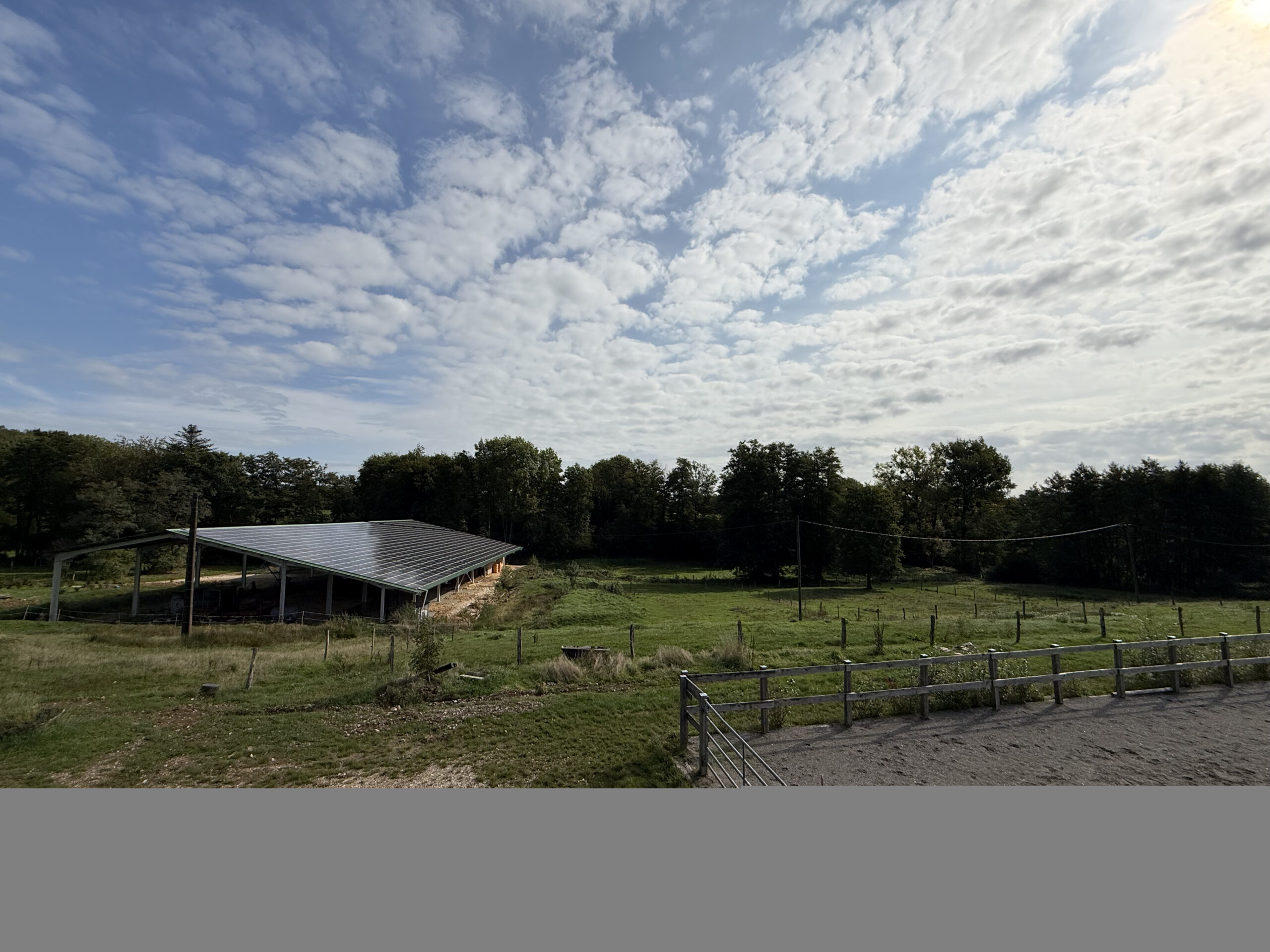 HARAS DE LA FLESCH - Felon