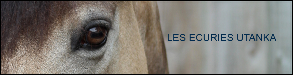 LES ECURIES UTANKA (LES ECURIES UTANKA) - Marest-Sur-Matz