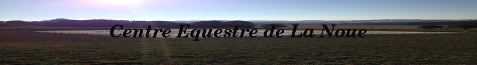 SCEA CENTRE EQUESTRE DE LA NOUE - Saux-Et-Pomarede